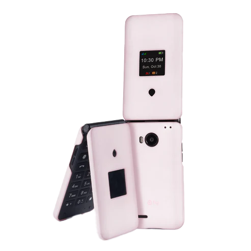 Fig Flip II plastic protective case, pink